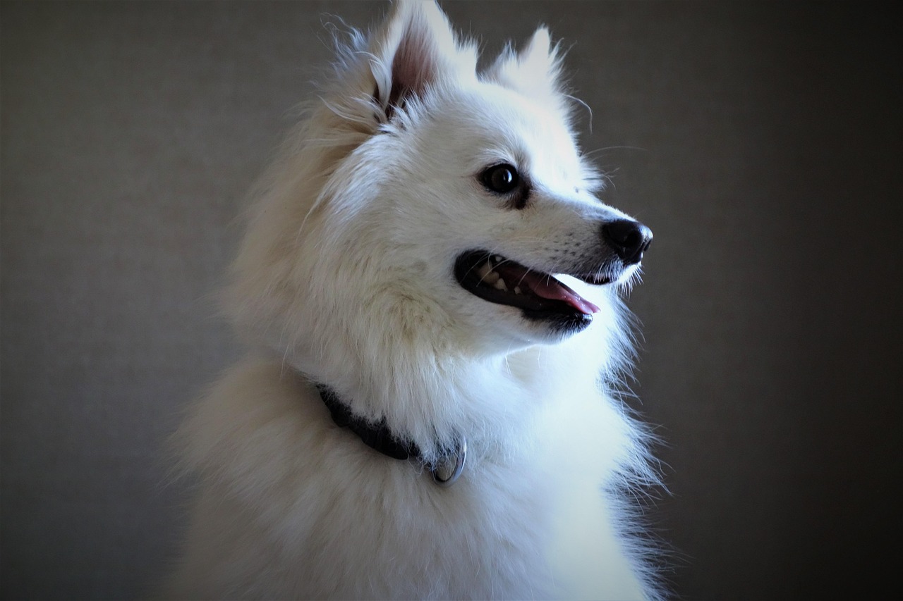 小顔脂肪吸引ができる東京のおすすめクリニックは？