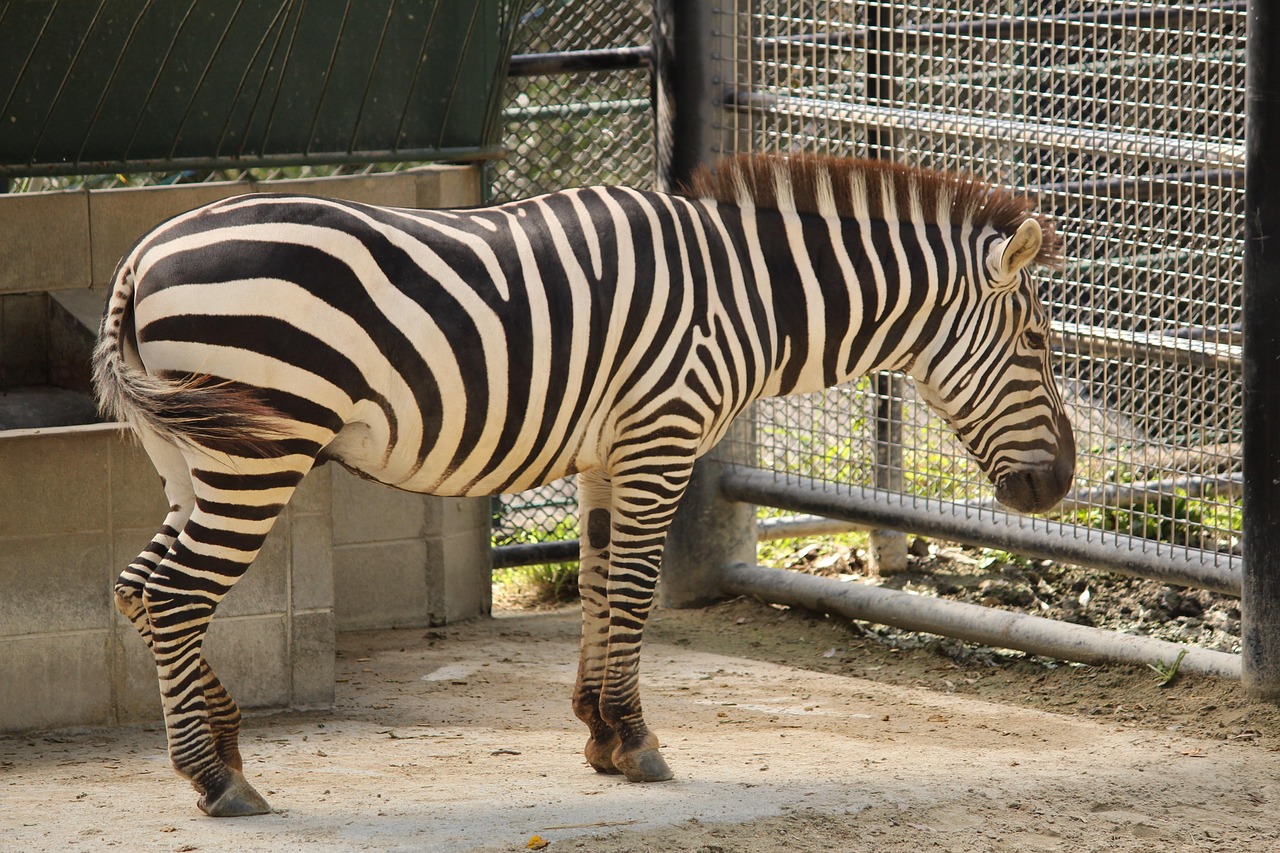 小顔脂肪吸引ができる福岡の人気クリニックを比較してみました？