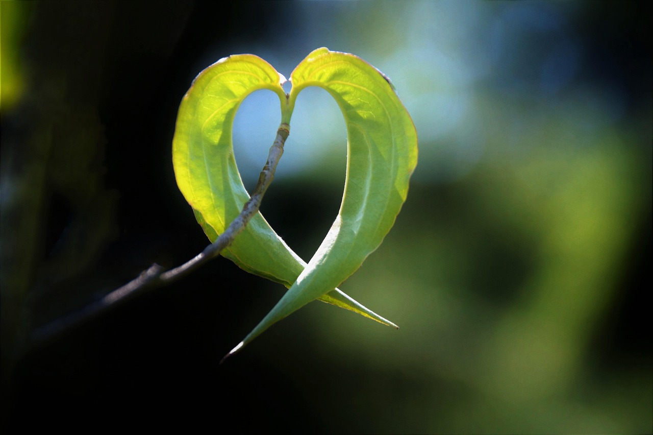 小顔脂肪吸引術後の洗顔はいつから始めるべき？