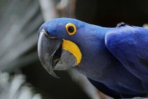 小顔医療の効果を最大化する方法とは？