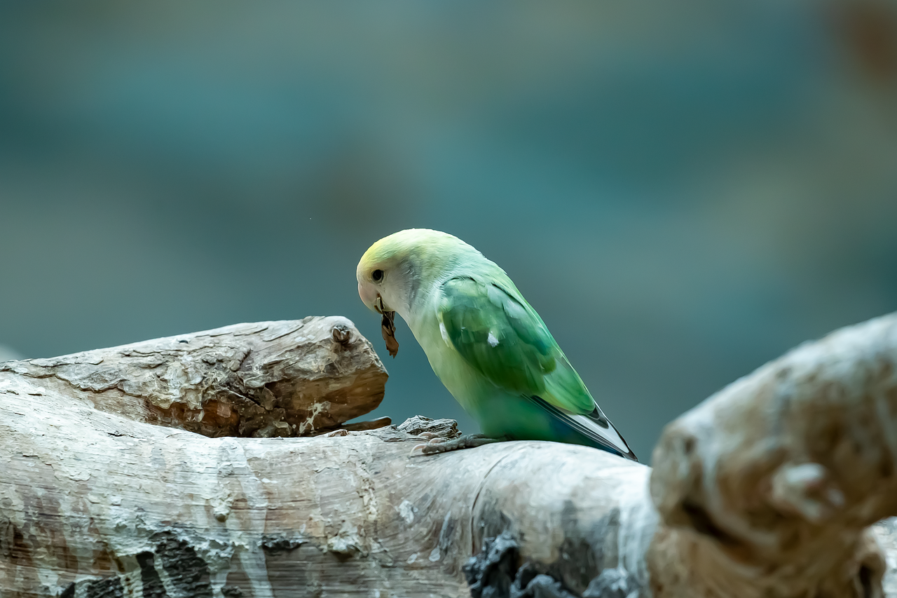 小顔医療施術後に気をつけるべき注意点は？